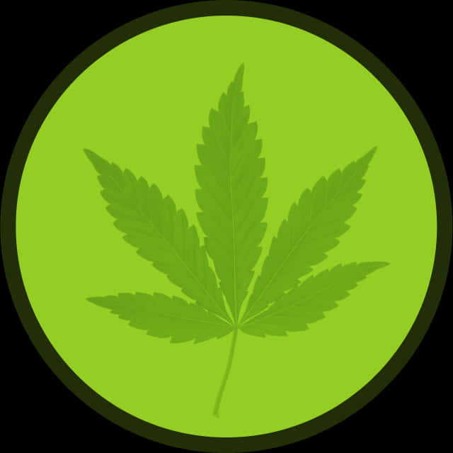 A Green Leaf In A Circle