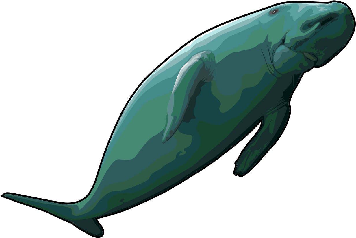 A Green Whale With Black Background