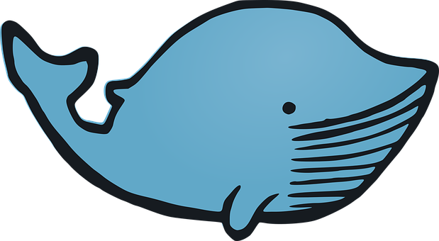 A Blue Whale With A Black Background