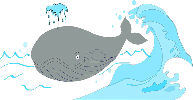 A Whale With Water Splashing Out Of It