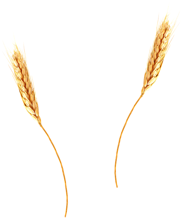 Two Wheat