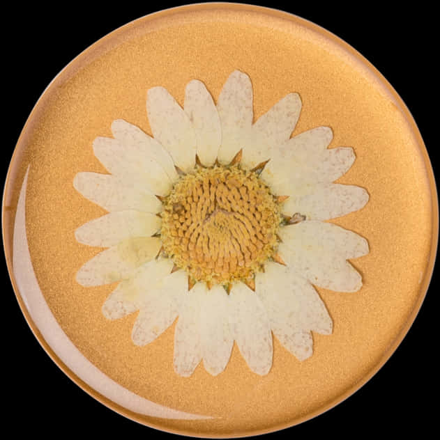 A Flower On A Plate