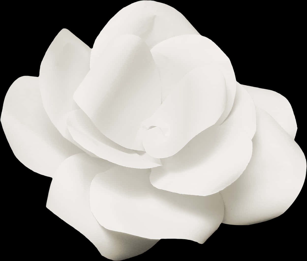 A White Flower On A Black Background
