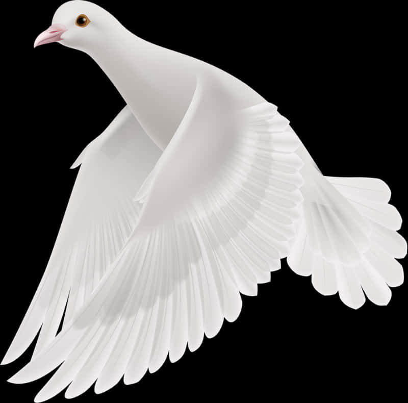 White Pigeon Flap Wings