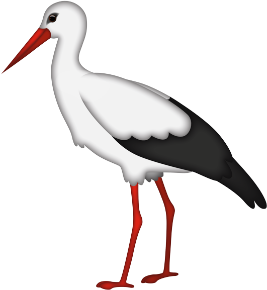 A White Bird With A Black Beak And Red Legs