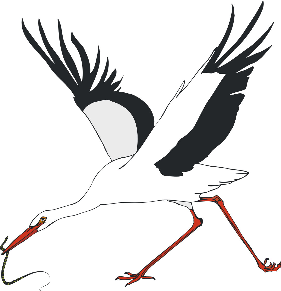A White Bird With A Long Beak And A Snake