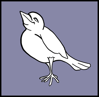 A White Bird With Its Eyes Closed