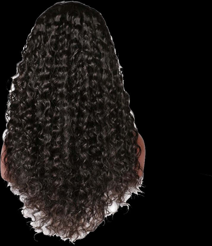 The Back Of A Woman's Long Curly Hair