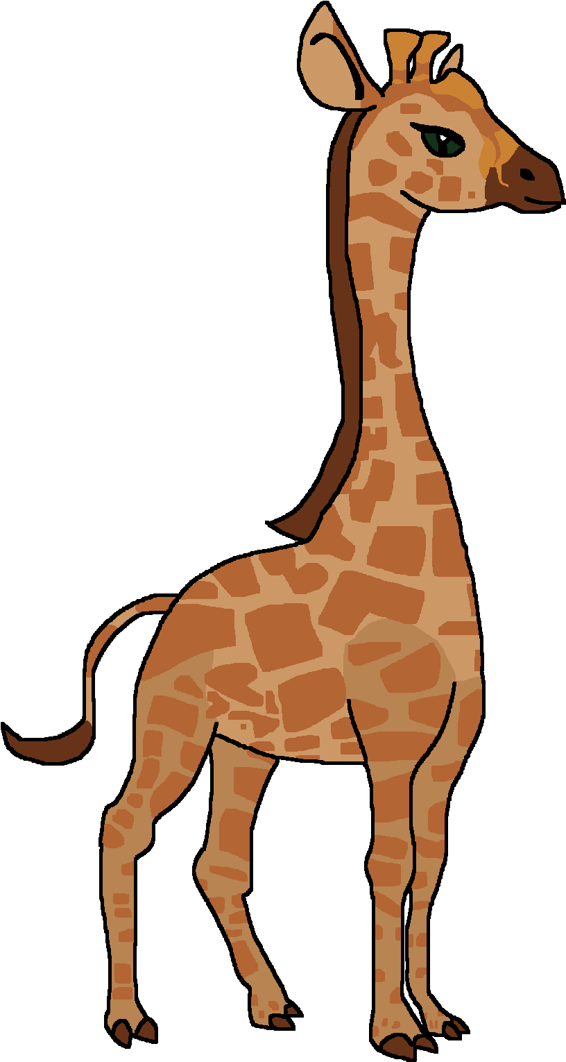 A Giraffe With A Black Background