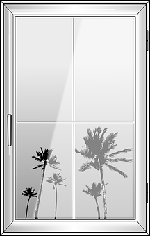 A Palm Trees Reflected In A Window