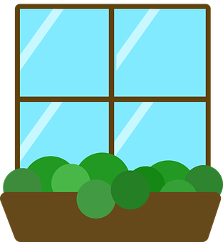 A Planter With Green Balls In A Window
