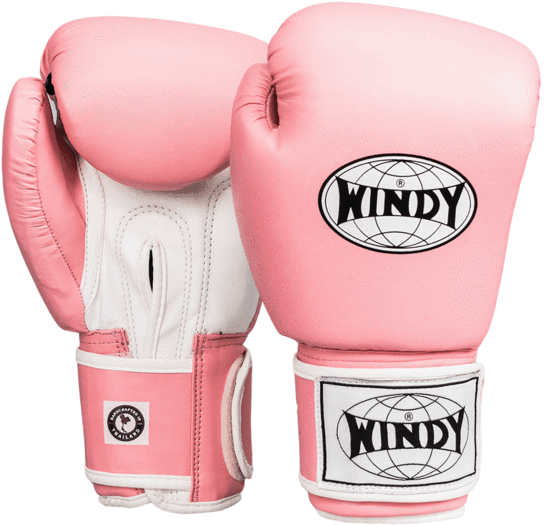 A Pair Of Pink Boxing Gloves