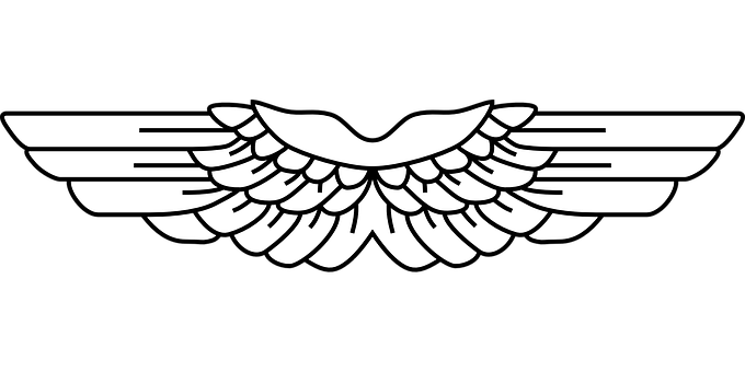 A White Wings On A Black Background