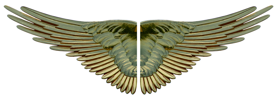 A Close-up Of A Gold Wings
