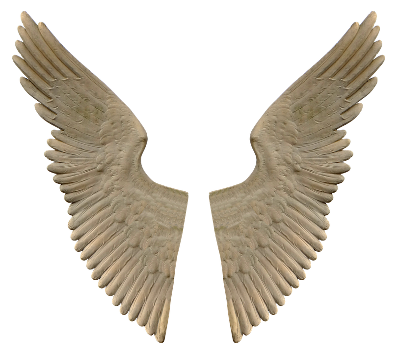 Wing Png 813 X 720