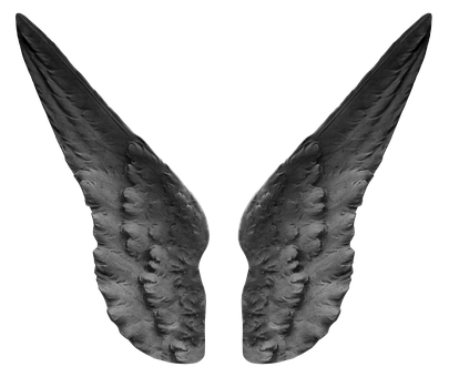 A Pair Of Wings On A Black Background