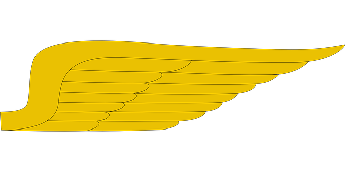 A Yellow Wing On A Black Background
