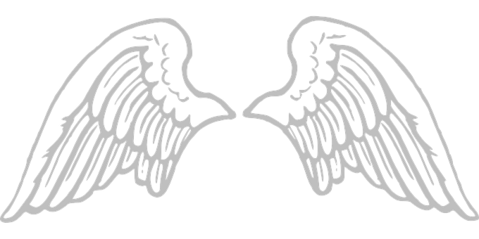 Wings With Gray Outline