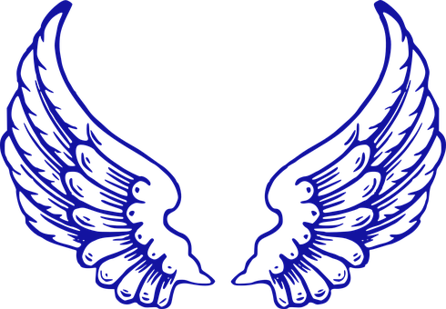 Blue Wings On A Black Background