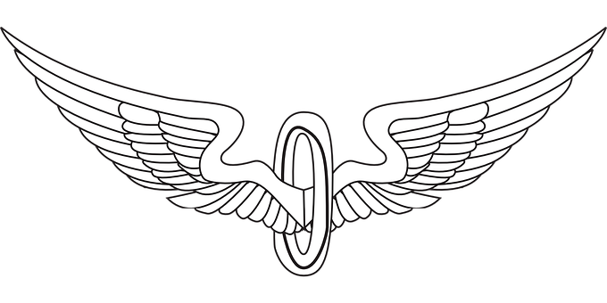 A White And Black Logo With Wings