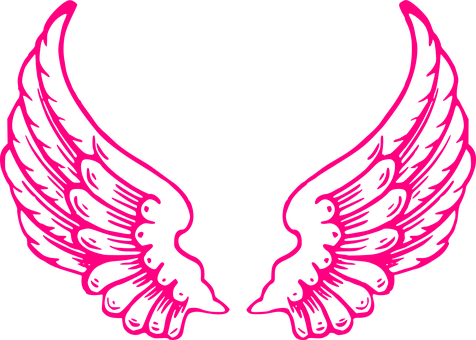 A Pink Wings On A Black Background