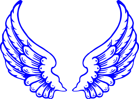 Blue Wings On A Black Background
