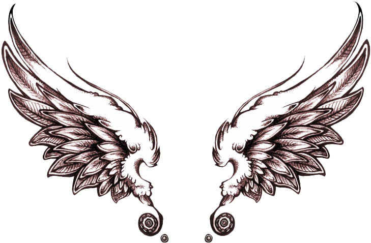 A Pair Of Wings With Swirls On A Black Background