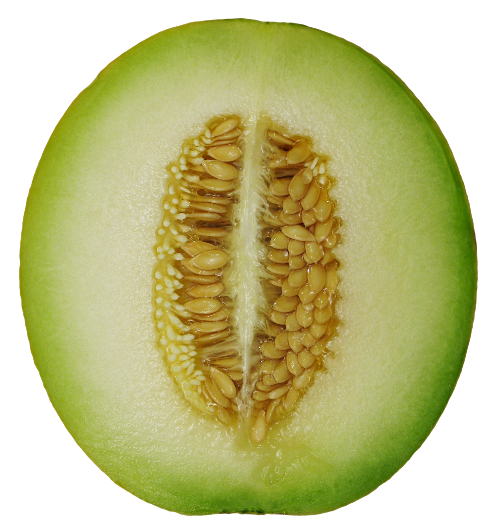 A Close Up Of A Melon