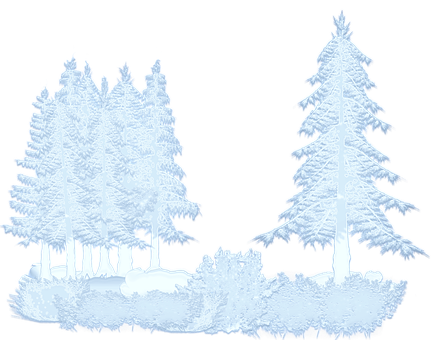 A Group Of Trees With Snow On Them