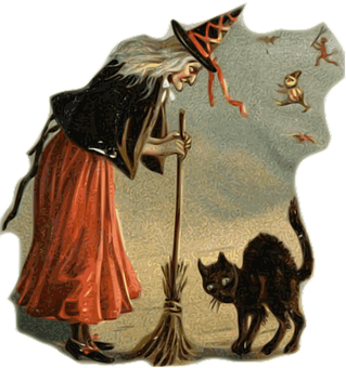 A Person And Cat On A Broom