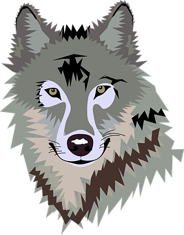 A Grey Wolf With Green Eyes
