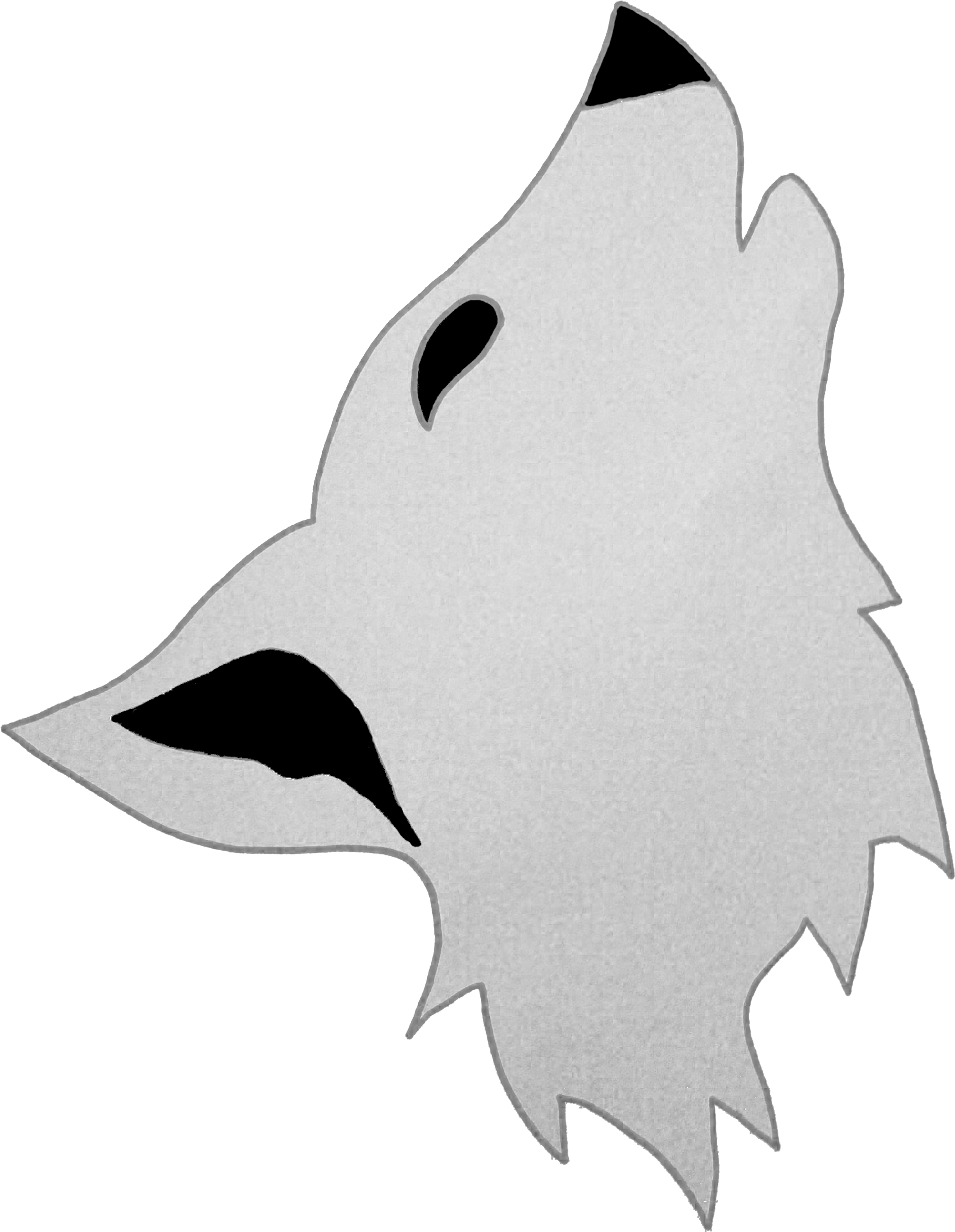 A White Wolf Head With Black Background