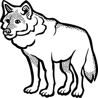 A White Wolf With Black Spots