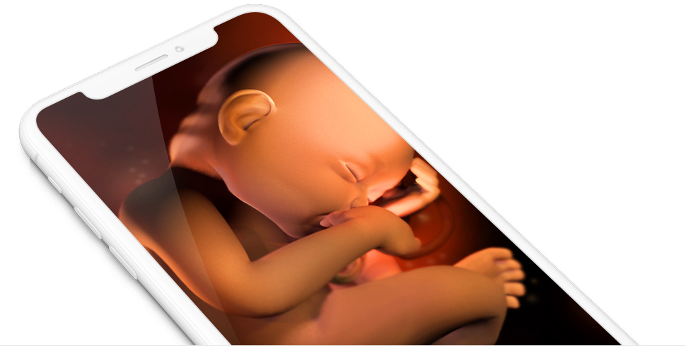 A Cell Phone With A Baby