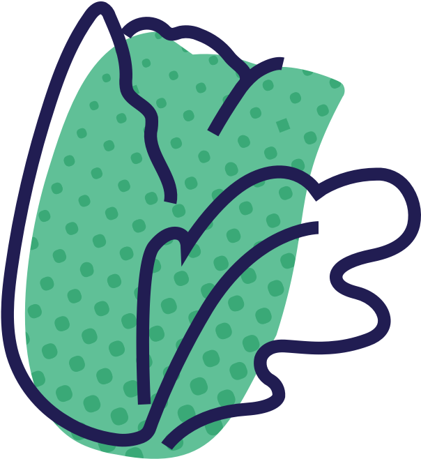 A Green And Blue Drawing Of A Cabbage