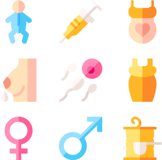 Womb Png 523 X 517