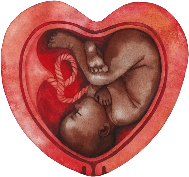 Womb Png 607 X 567