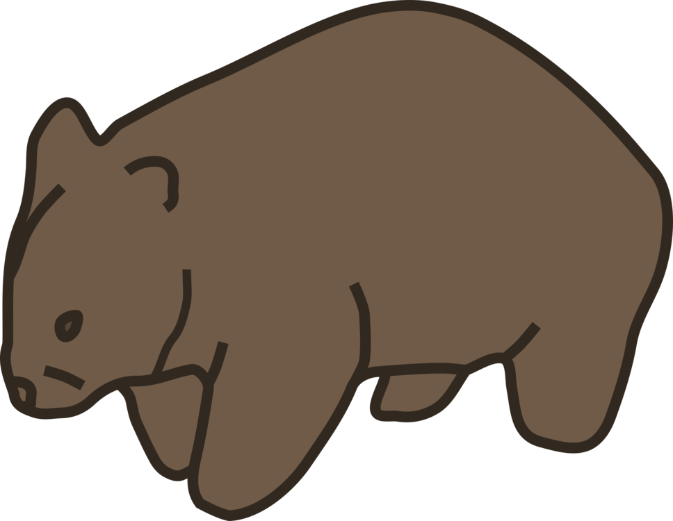 Wombat Png