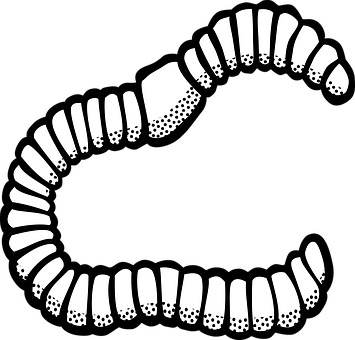 A White Worm With Black Dots