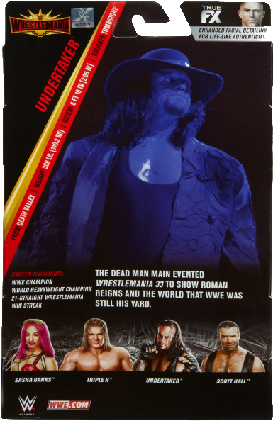A Poster Of A Wrestler
