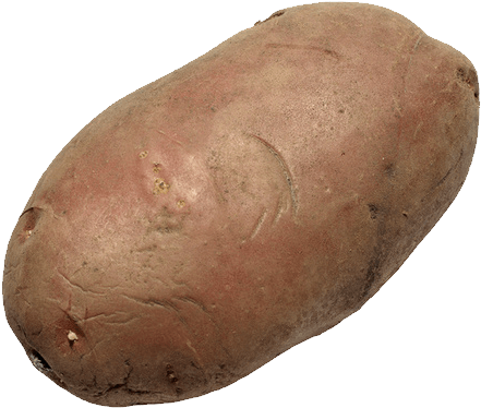 Yam Png 441 X 374