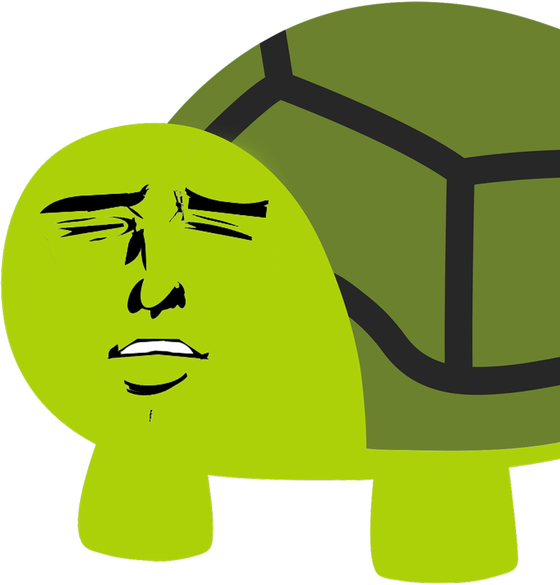 A Green Turtle With A Face On It