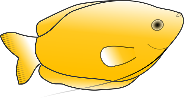 A Yellow Fish With Black Outline
