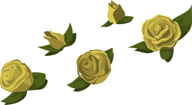 A Group Of Yellow Roses