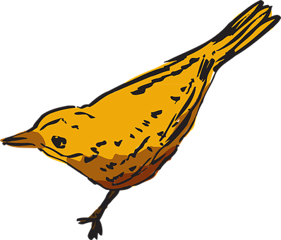 A Yellow Bird On A Black Background