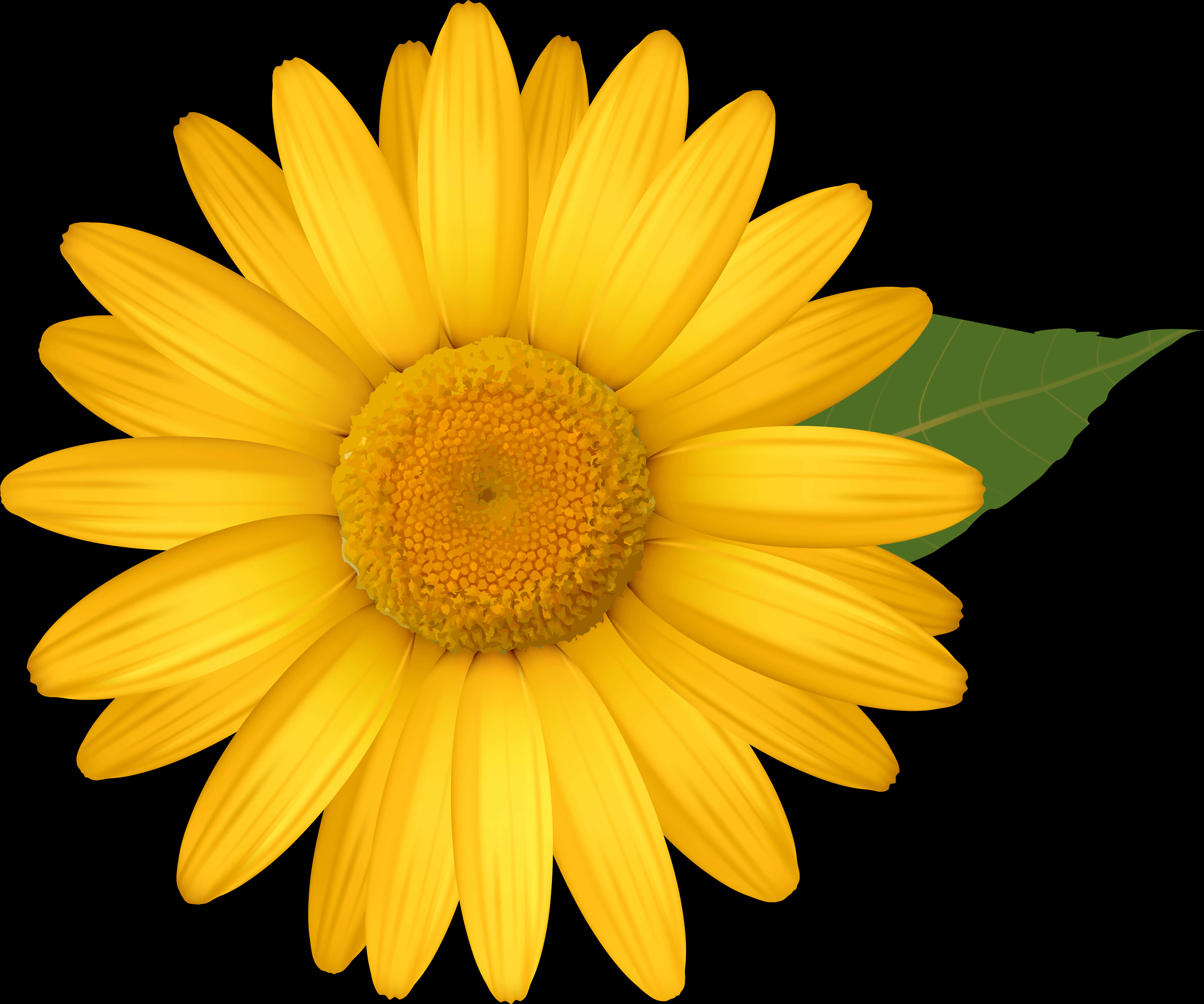 A Yellow Flower With A Green Leaf
