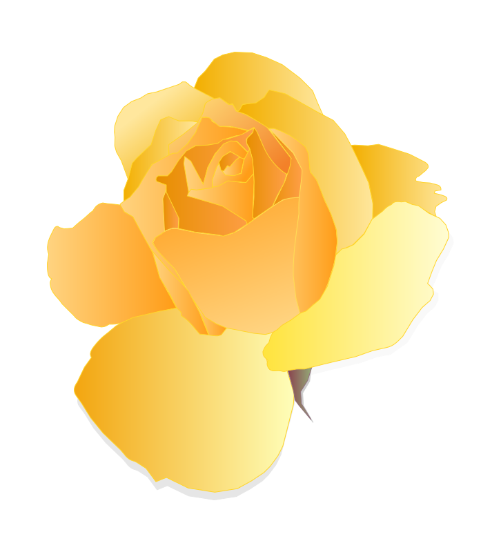 A Yellow Rose On A Black Background