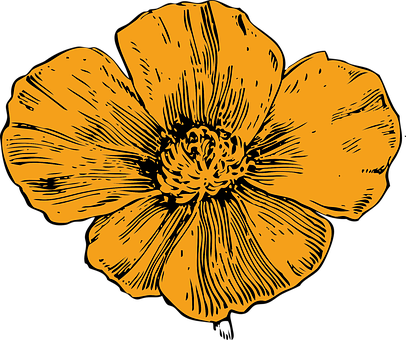 A Yellow Flower On A Black Background