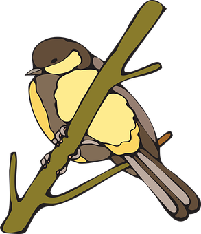 A Bird On A Branch