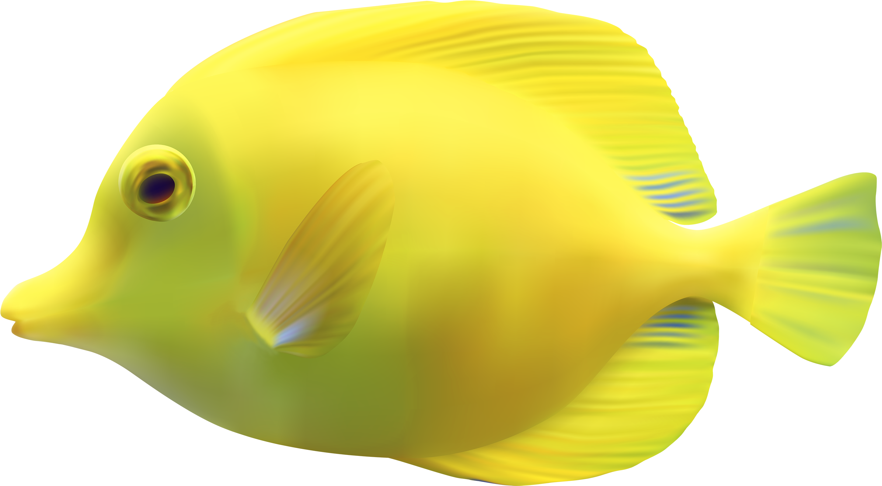 A Yellow Fish With Black Background
